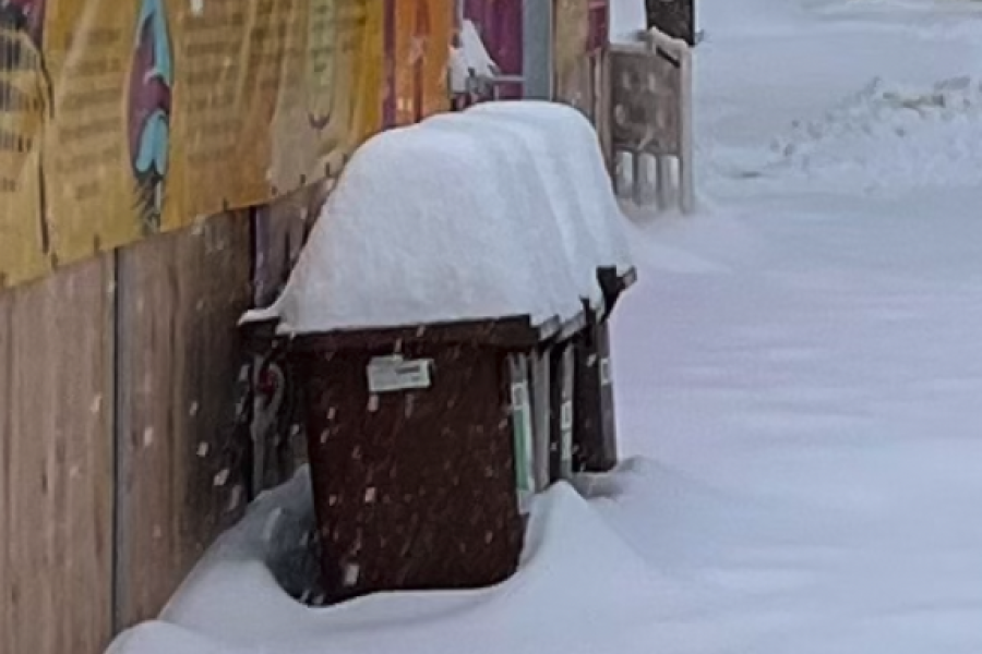 Müllbehälter im Schnee