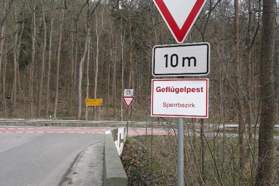 Eine Einmündung in eine Bundesstraße mit einem Schild mit dem Vermerk Geflügelpest, Sperrbezirk
