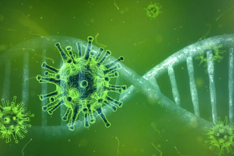 Viren mit DNA-Strang alles in grün
