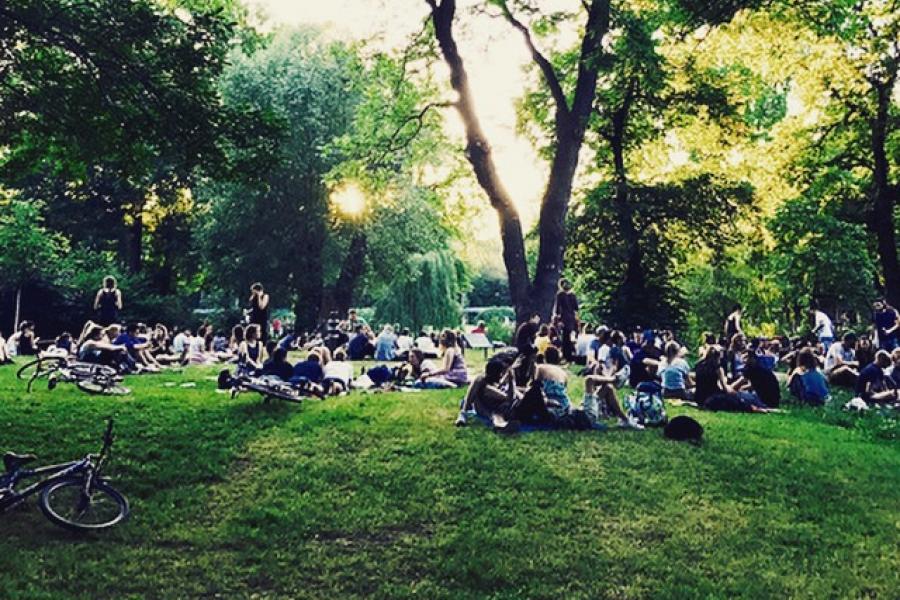 Menschen auf einer großen Wiese