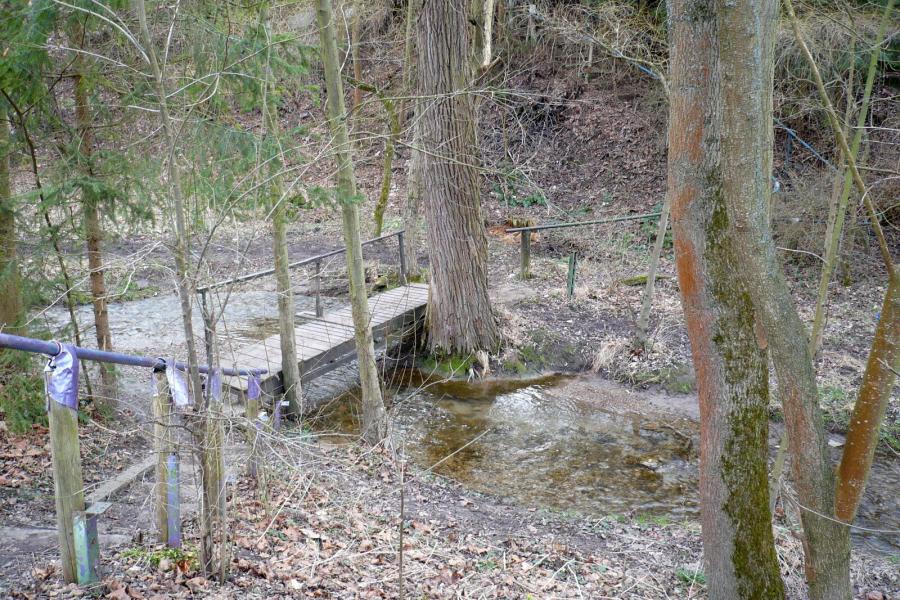 Eine Brücke in einem Waldgebiet