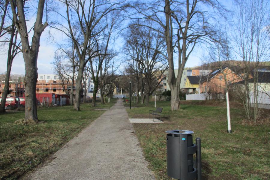Ein Weg mit Linden am Wegesrand und neuen Bänken