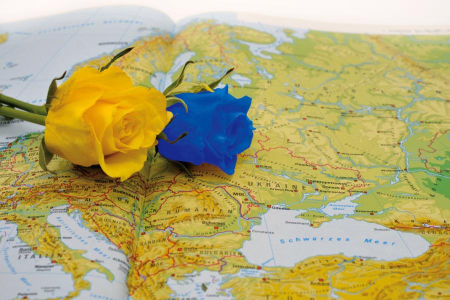 Zwei Rosen auf einer Landkarte von Europa