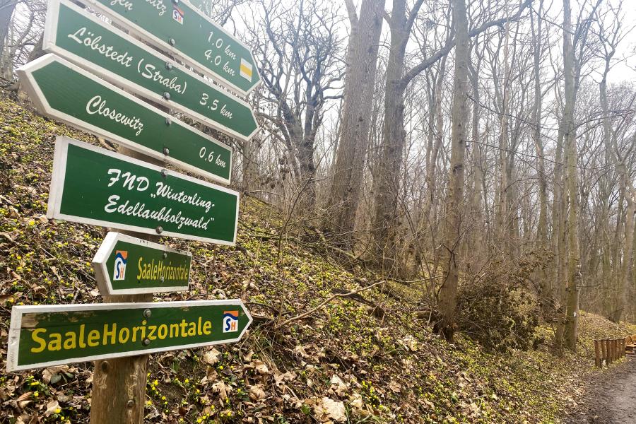Ein Wanderschild nach Closewitz