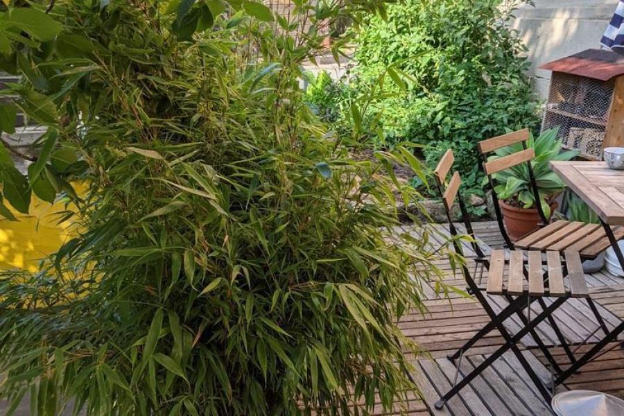 Ein Balkon mit Pflanzen