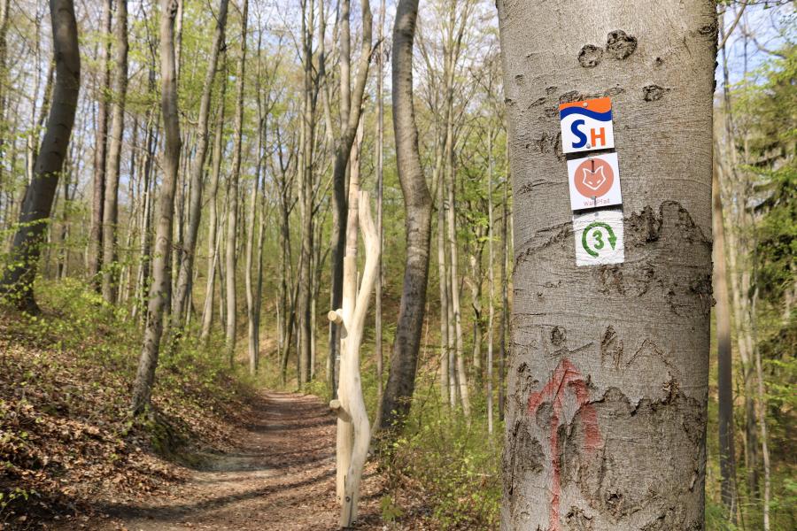 Waldweg
