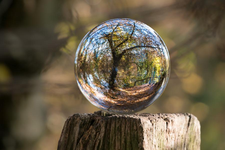 Eine Glaskugel steht auf einem Baustumpf im Wald. Der Wald spiegelt sich in der Kugel.