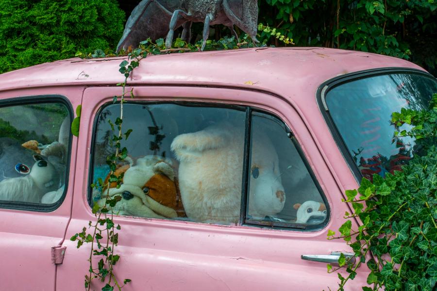 Ein eingewachsener Trabant