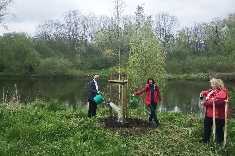 Zwei Menschen haben einen Baum gepflanzt