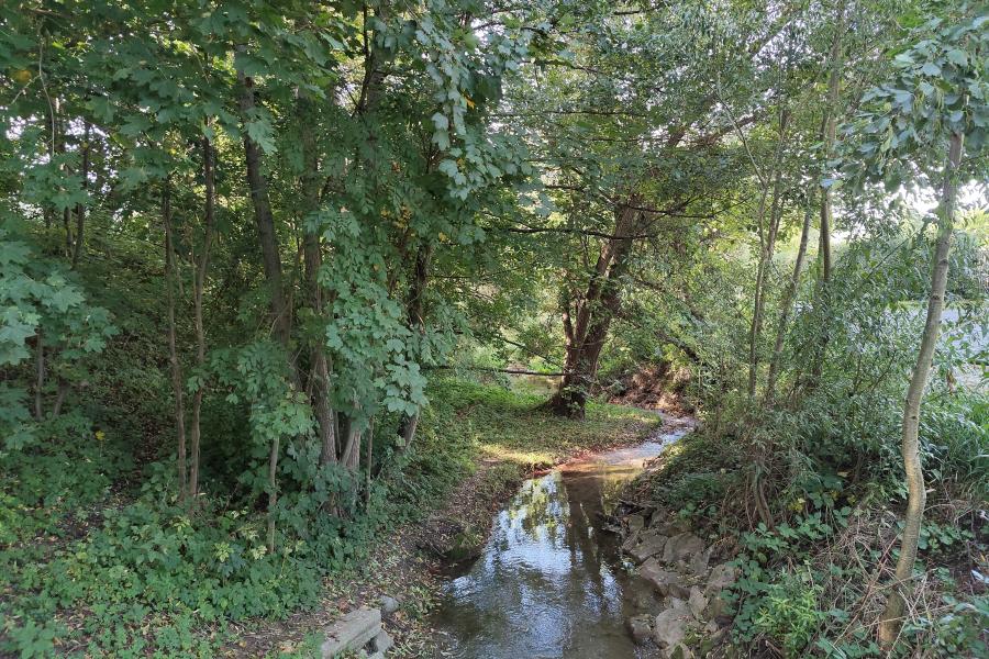 Der Gembdenbach führt noch Wasser.