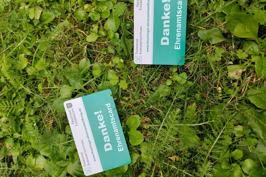 Chipkarten auf Wiese