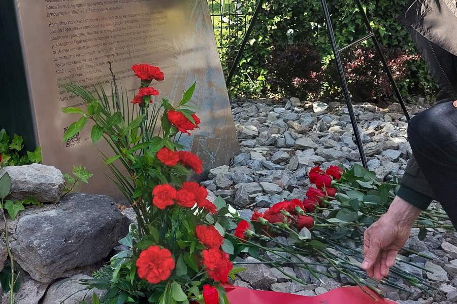 Hand, die rote Rose vor Gedenkstele ablegt