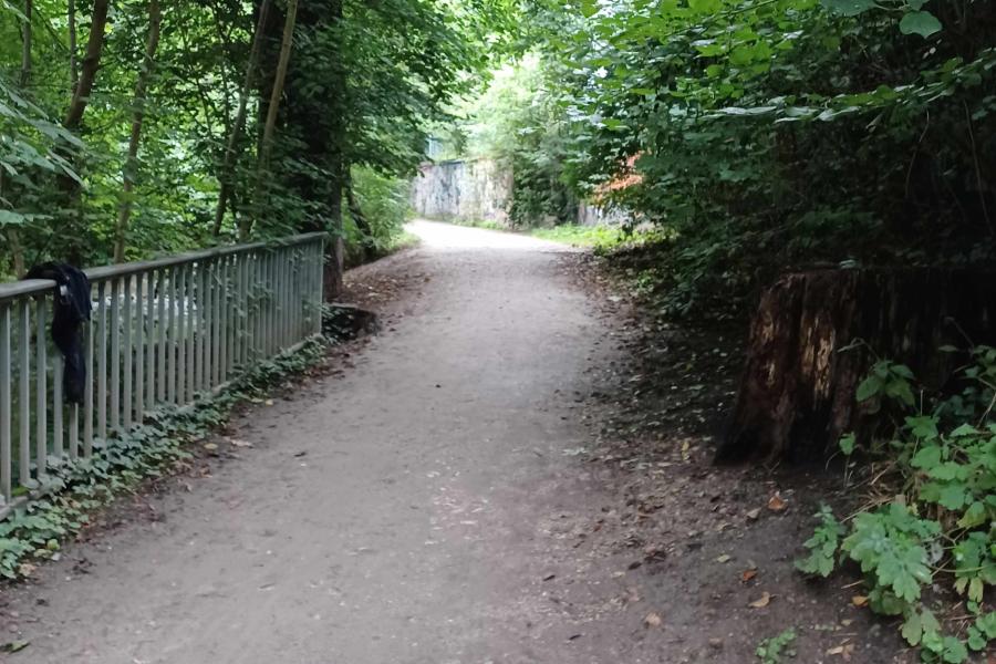 Weg umringt von Bäumen und Zaun.