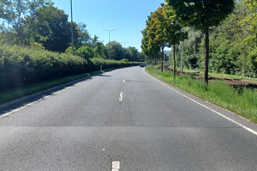 Straße von Bäumen und Sträuchern umgeben