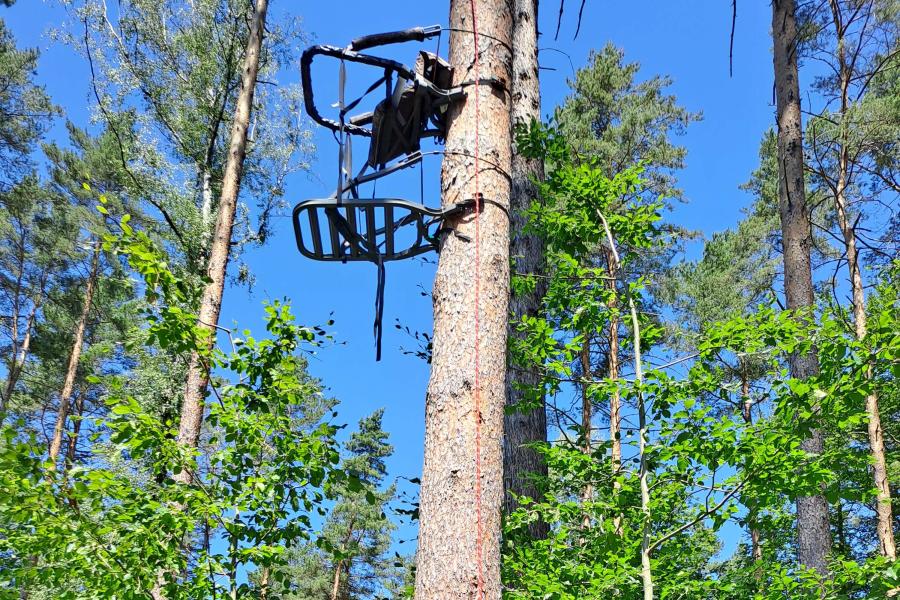Klettersitz am Baum im Wald.