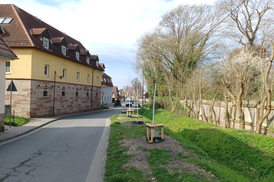 Baumpflanzungen Alte Dorfstraße in Jena Drackendorf